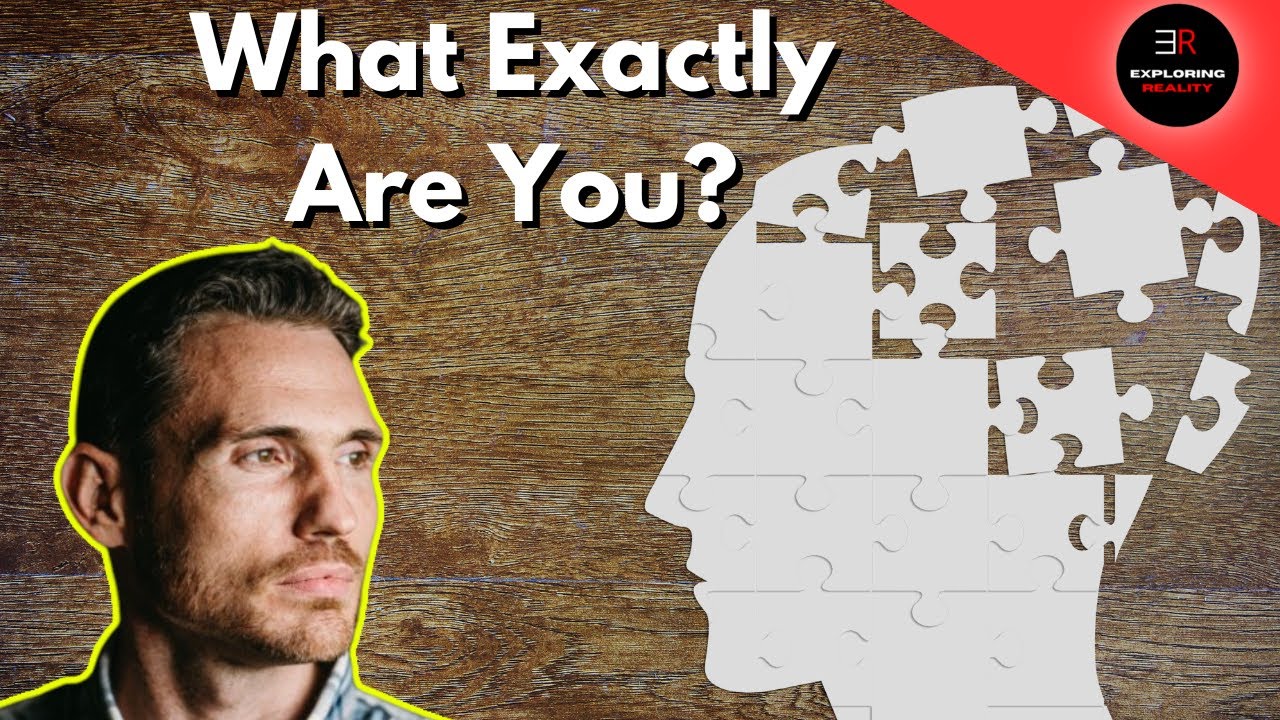 Mereological Puzzles - Dr. Josh Rasmussen