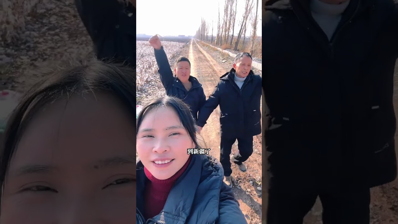 世界很大，新疆棉花很好，带老爸来体验摘棉花的快乐