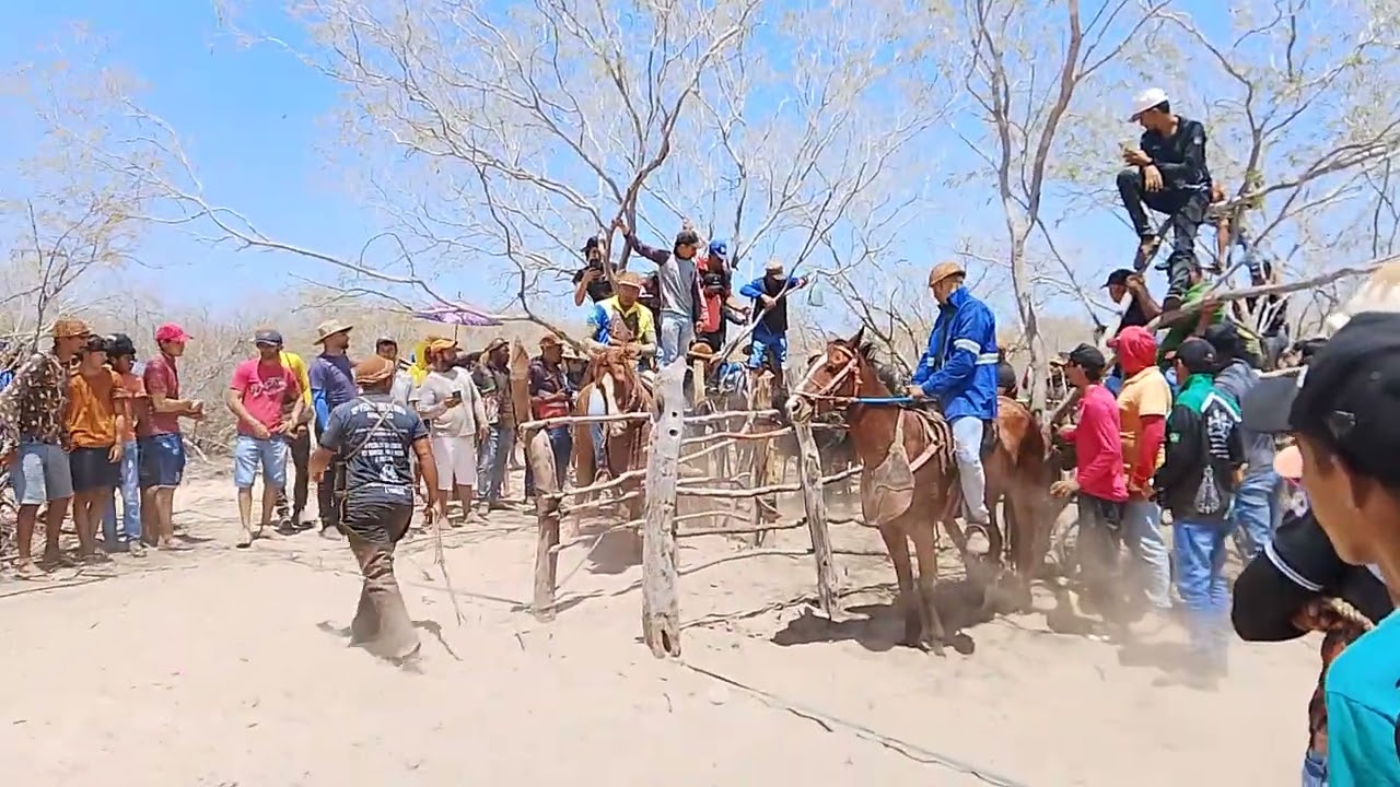 22 de outubro de 2025