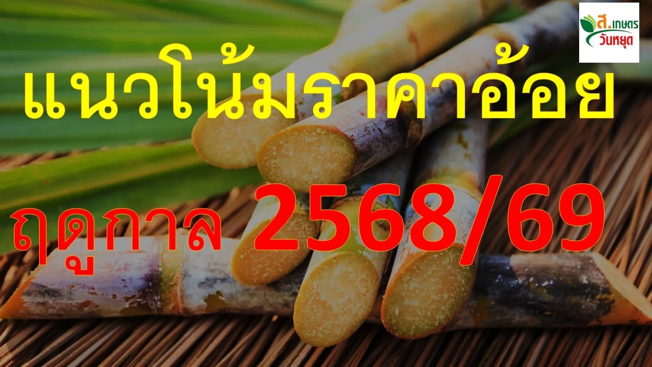 แนวโน้มราคาอ้อยฤดูกลาล 2569/70