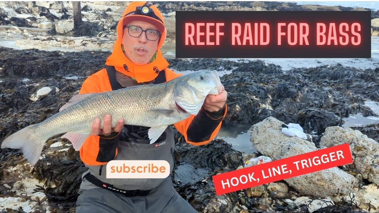 REEF RAID FOR BASS - UK BASS FISHING - UK SEA FISHING - LABRAX