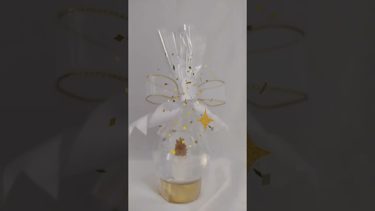"Tropical Hospitality: DIY Water Globe Gift Idea 🍍💧 | Perfect for Every Occasion!"