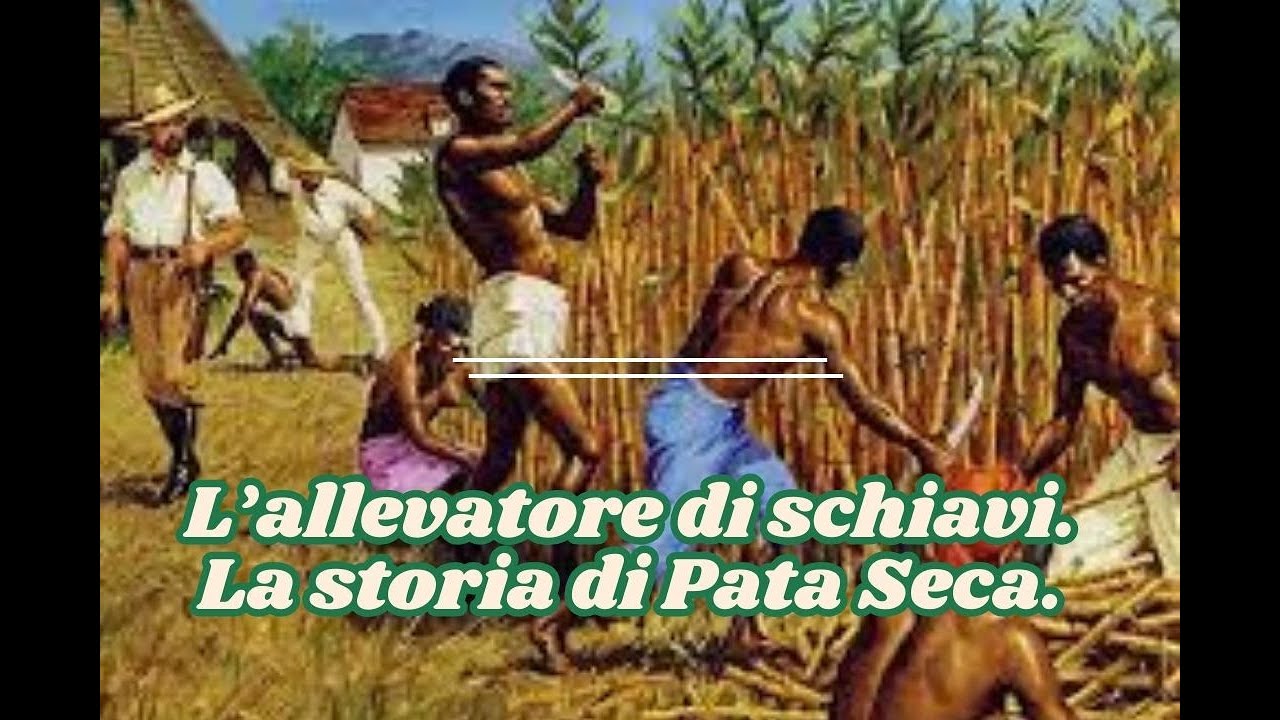 La storia di Pata Seca   l'allevatore di schiavi