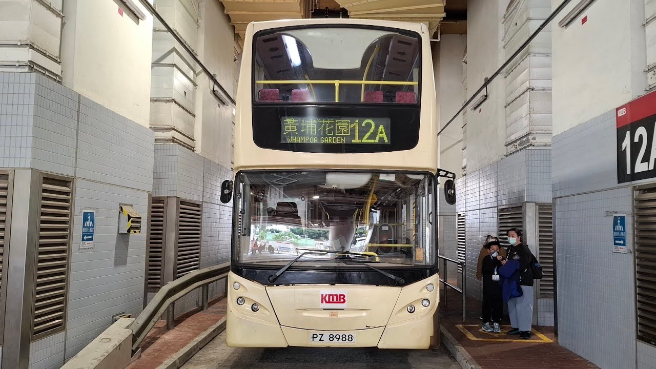 九巴12A由長沙灣海達邨往黃埔花園 車牌PZ8988 車隊編號ATEU33