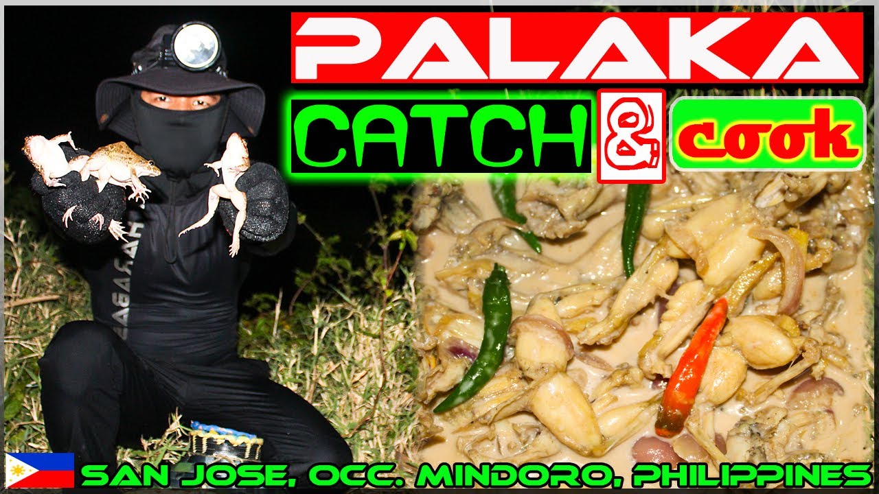 EP43 - Palakang Bukid Catch and Cook {Adobo sa Gata}