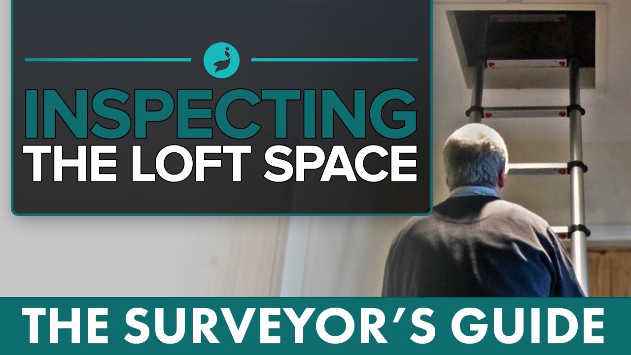 Inspecting the Loft Space