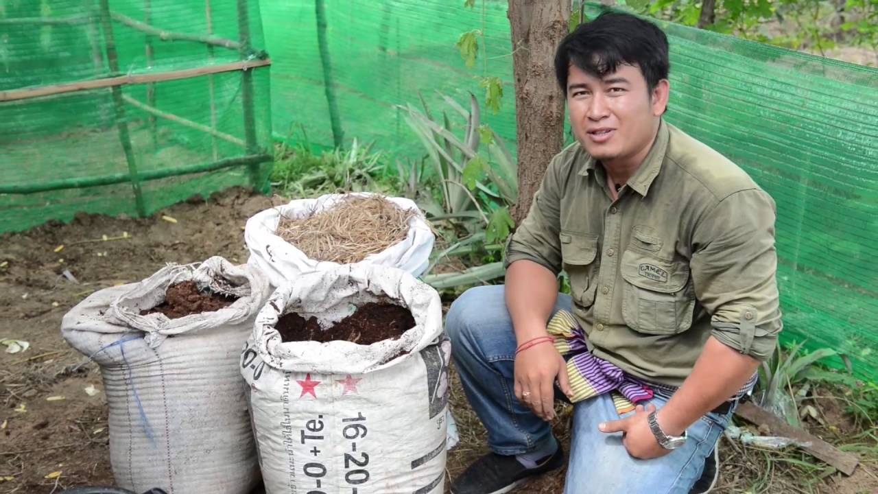 Dry Compost