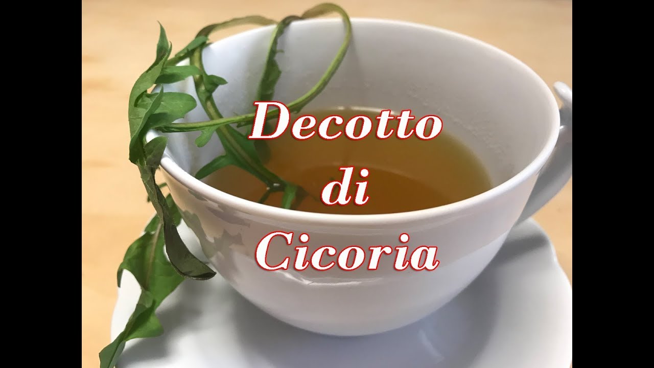 Decotto di Cicoria - Ricetta Diuretica