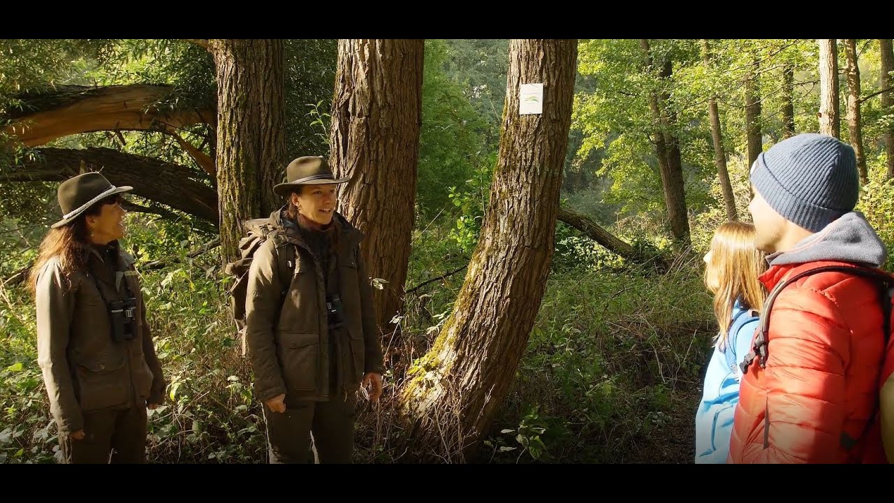 Wir am Main - Unterwegs mit den Naturpark-Rangern in Sand a. Main