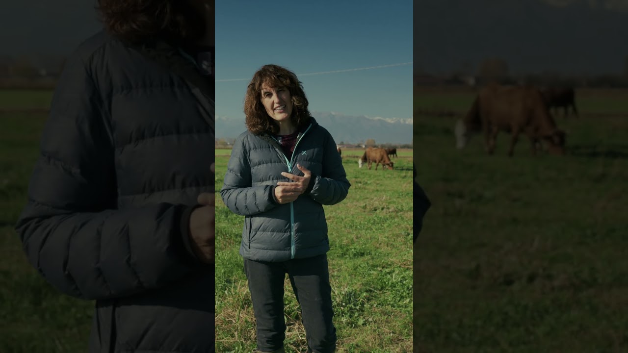 Latte Bio - Storia dell'azienda agricola Fiore