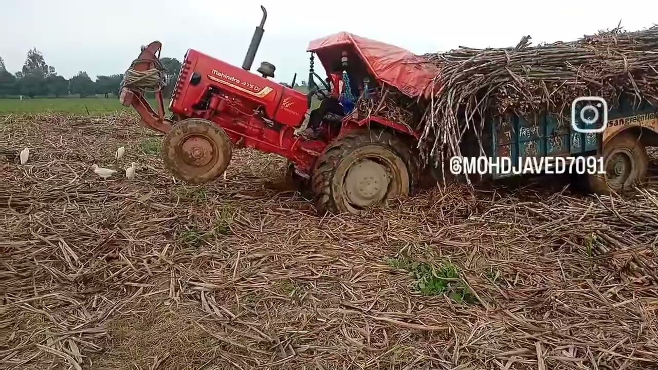 Aisi vedio pahle kabhi nhi dekhi hoy gi aap loge ne