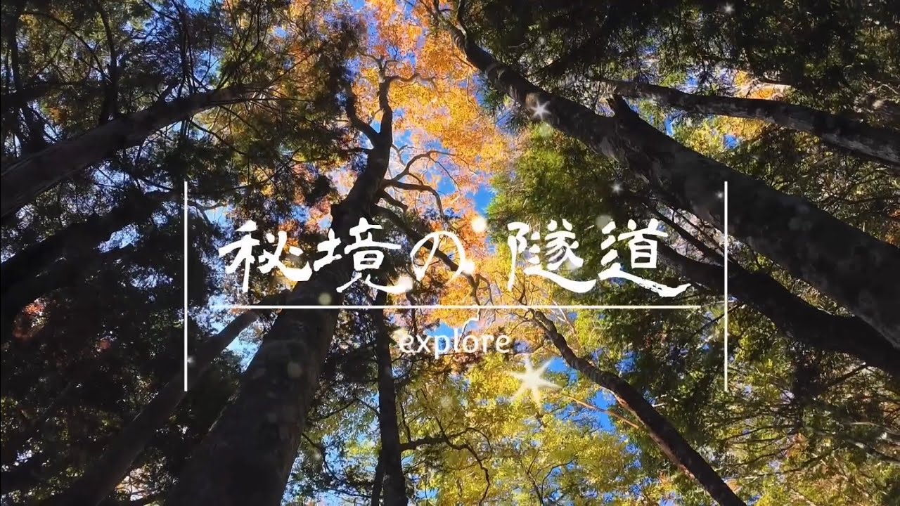 奈良 大峯 岩屋谷滝隧道