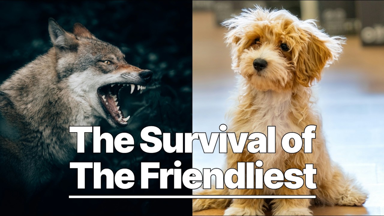 The History of Dogs