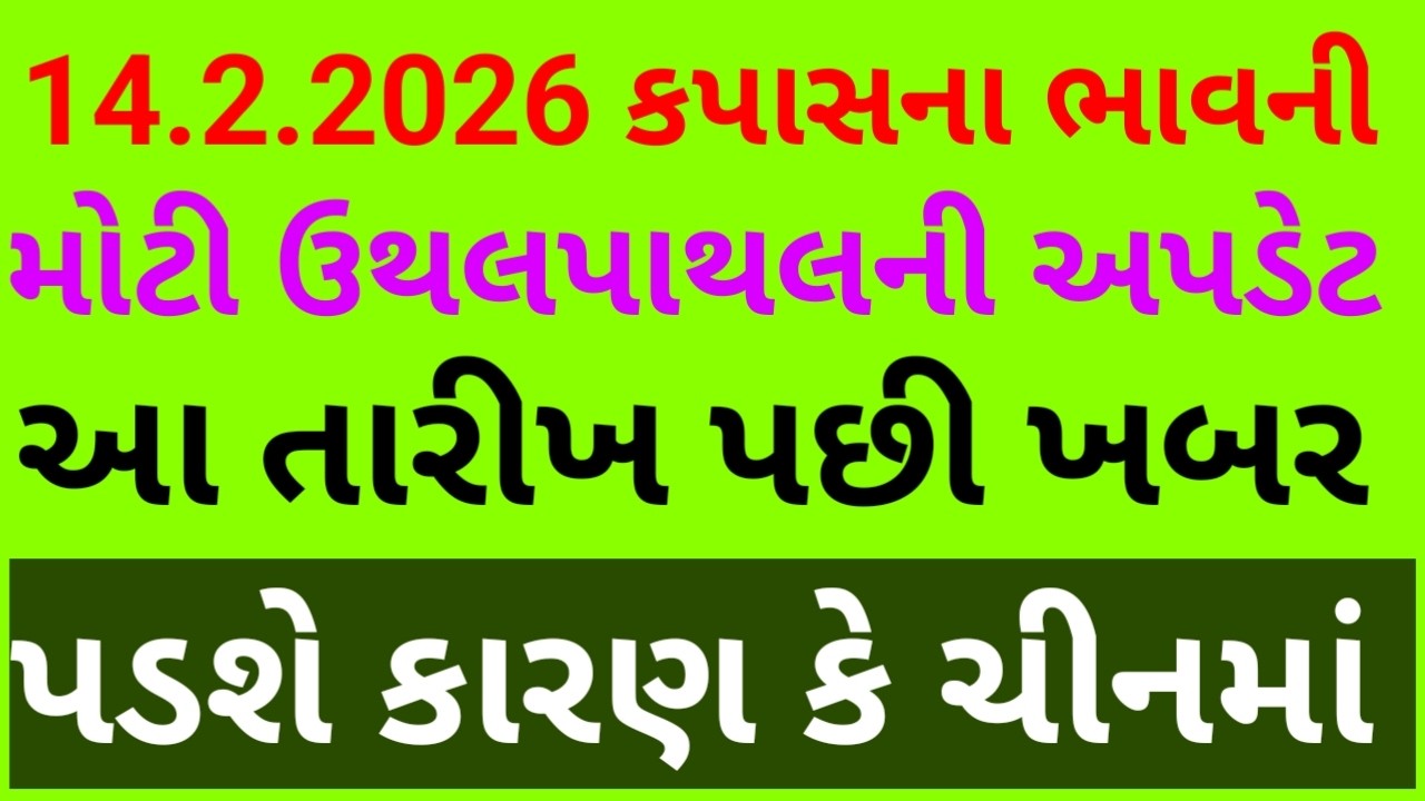 કપાસનો ભાવ આ તારીખ પછી ખબર પડશે કે કેવી ઉથલપાથલ કરે છે કારણ કે ચીનમાં કંઇક આવો માહોલ છે એટલે ? Kapas