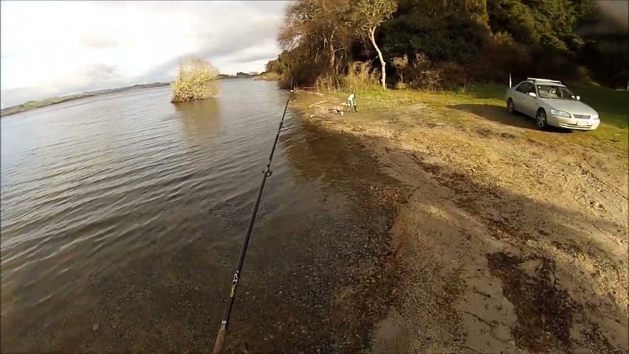 NEW ZEALAND TROUT FISHING TODAY
