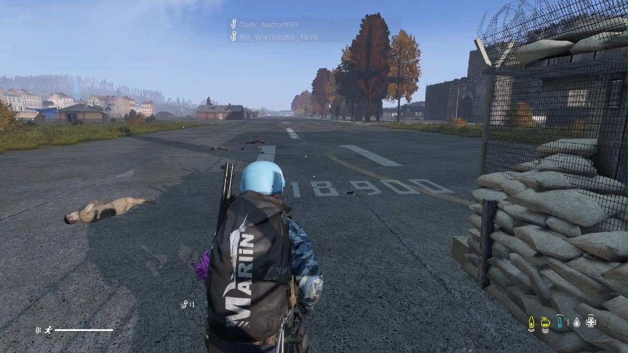DayZ_20260131141610