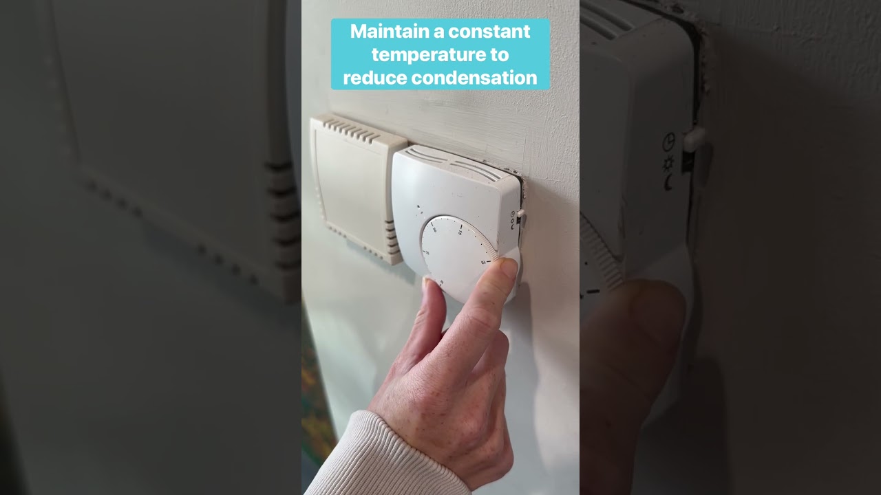 How to prevent condensation, damp and mould