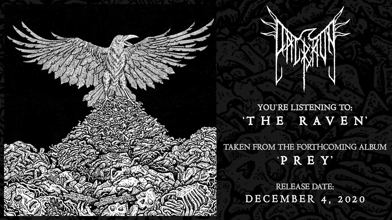 Valravn - The Raven