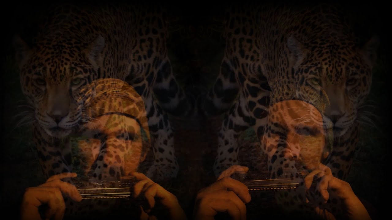 Canto de armónica - Yagé Ayahuasca - 
