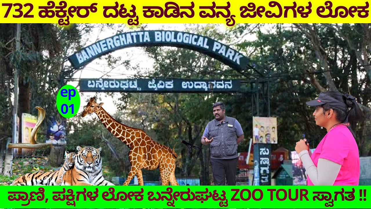 ಬೆಂಗಳೂರಿನ 732 ಹೆಕ್ಟೇರ್ ದಟ್ಟ ಕಾಡಿನ ವನ್ಯಜೀವಿ ಲೋಕ ಬನ್ನೇರುಘಟ್ಟ-Digital Maadhyama-BANNERGHATTA ZOO TOUR-1