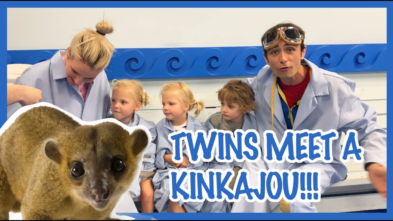 Echo and Friends meet a Kinkajou | Identical twins react!