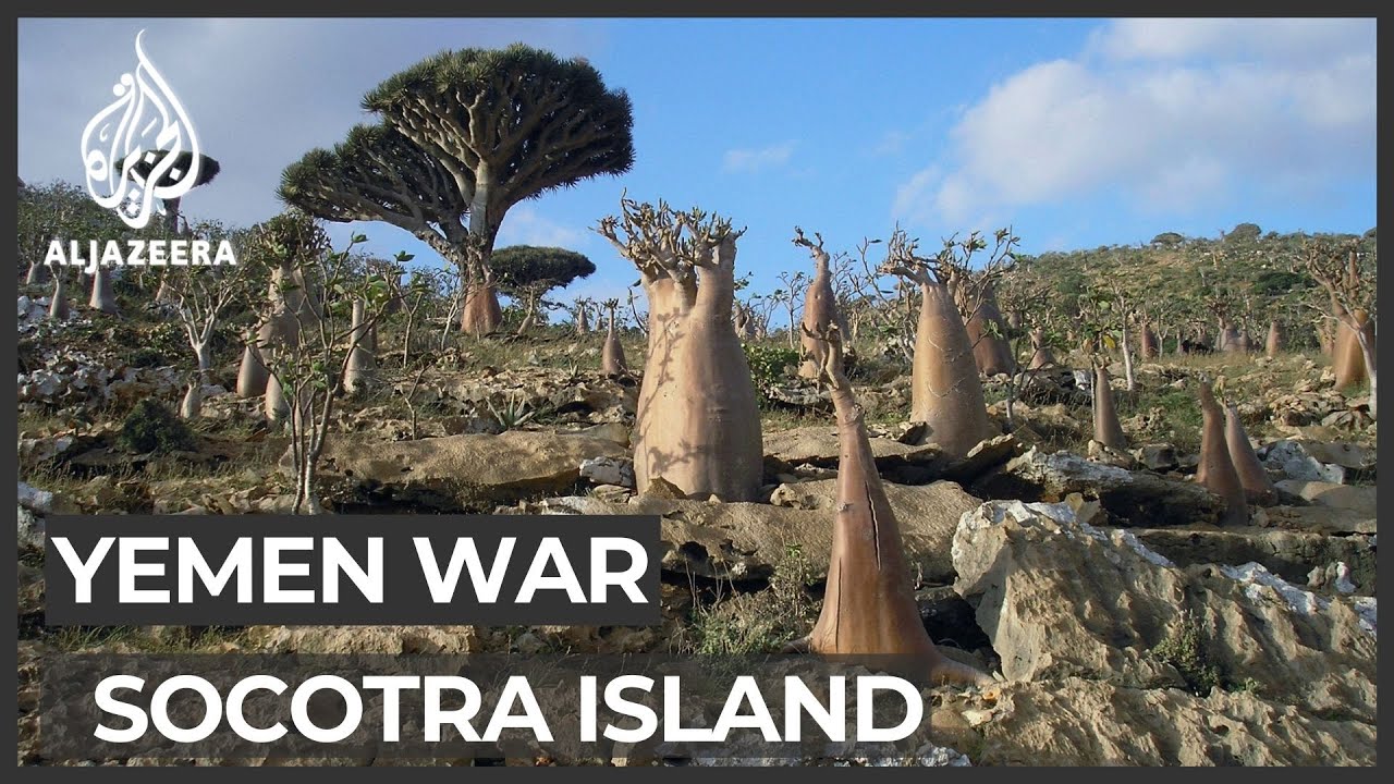Yemen: UAE-backed separatists take control of Socotra