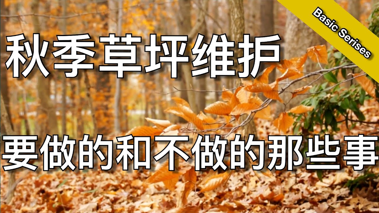 秋季草坪维护 - 那些你要做的和那些避免做的 - fall lawn maintenance dos and do nots | 尅尅&凯西的后花园