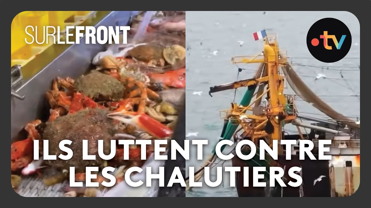 Les dangers de la pêche intensive - Sur le front avec Hugo Clément