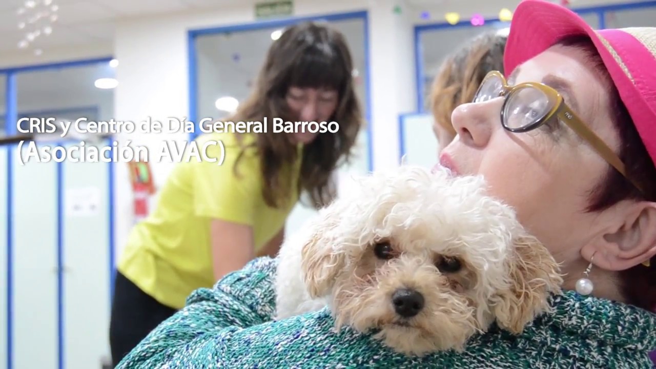 Terapia asistida con perros para la salud mental (Asociaci&oacute;n Avac & Acavall)