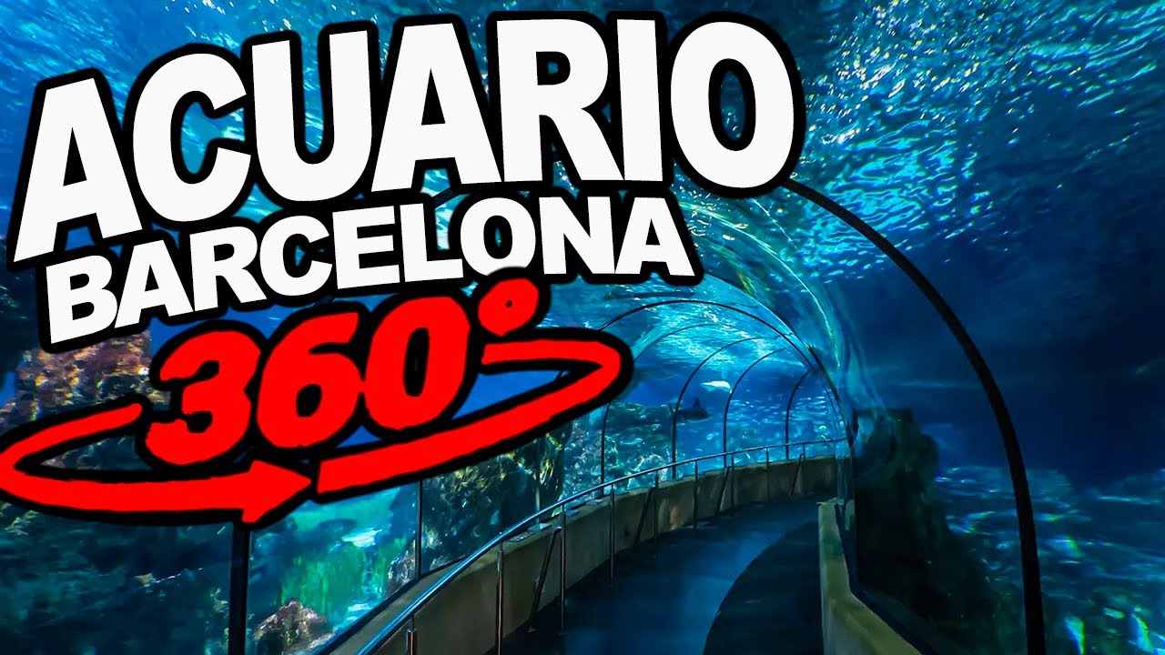 Túneles Acuario de Barcelona 360º