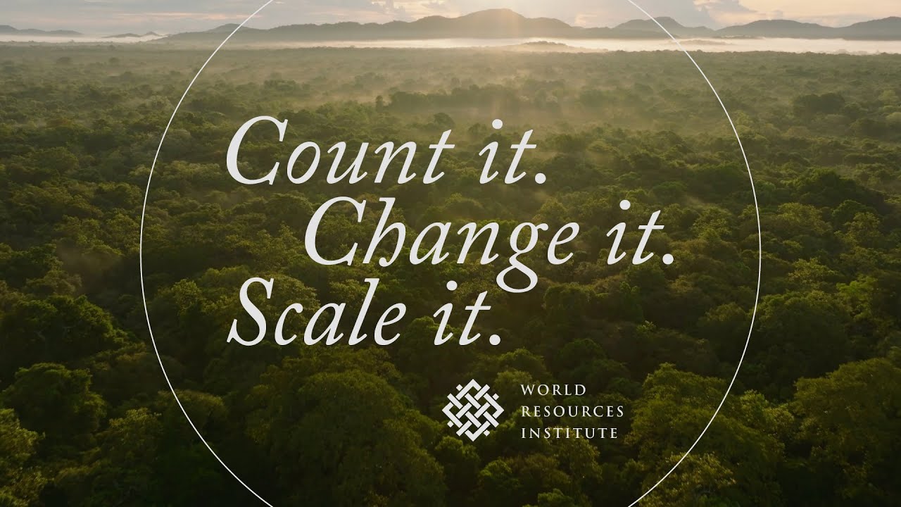 Count It, Change It, Scale It 2025