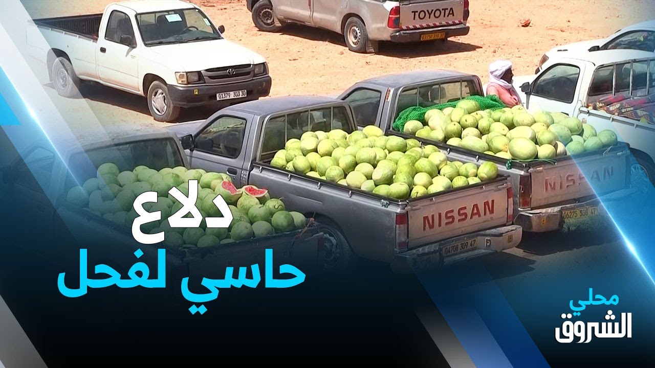 #المنيعة: البطيخ الأحمر أو 