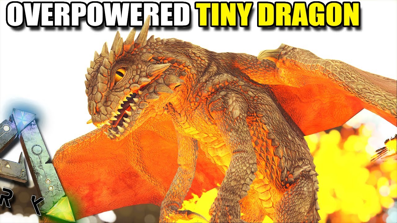 WE TAME THIS OVERPOWERED TINY DRAGON !! | MYTHICAL BEASTS | ARK SURVIVAL EVOLVED [S2 EP17]