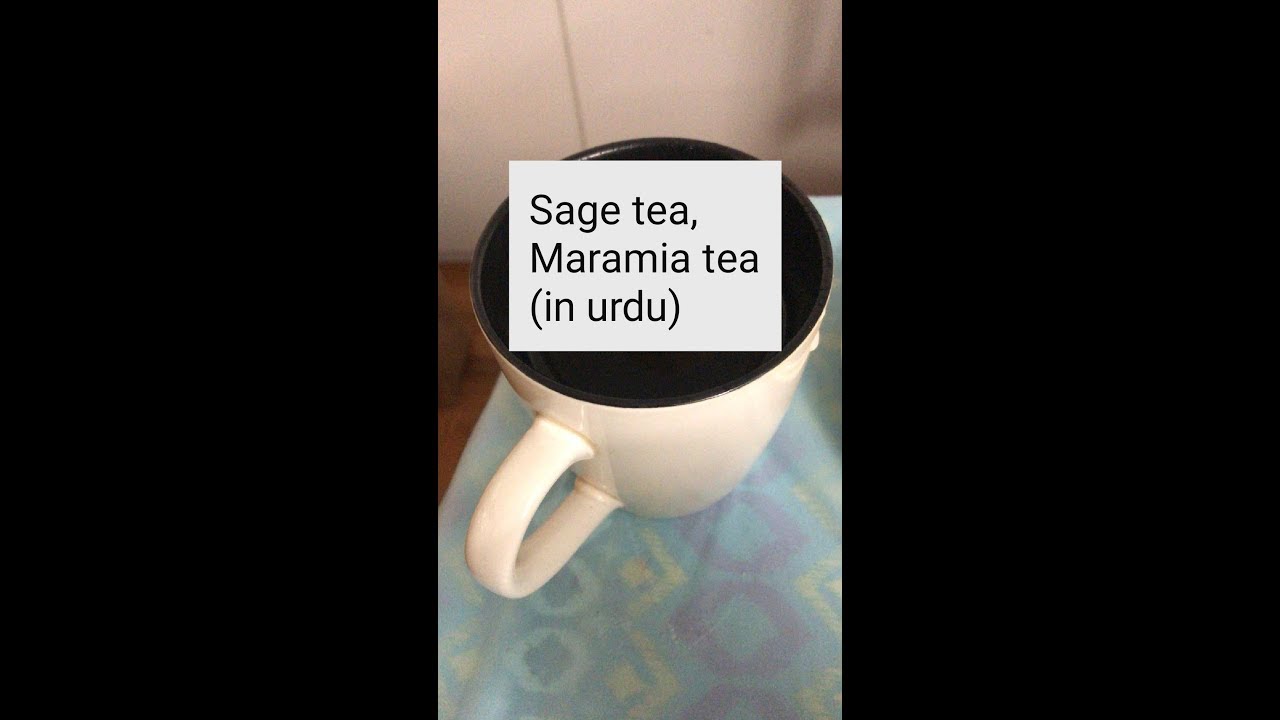 How to make sage tea (in urdu)|maramia tea|healthy recipe