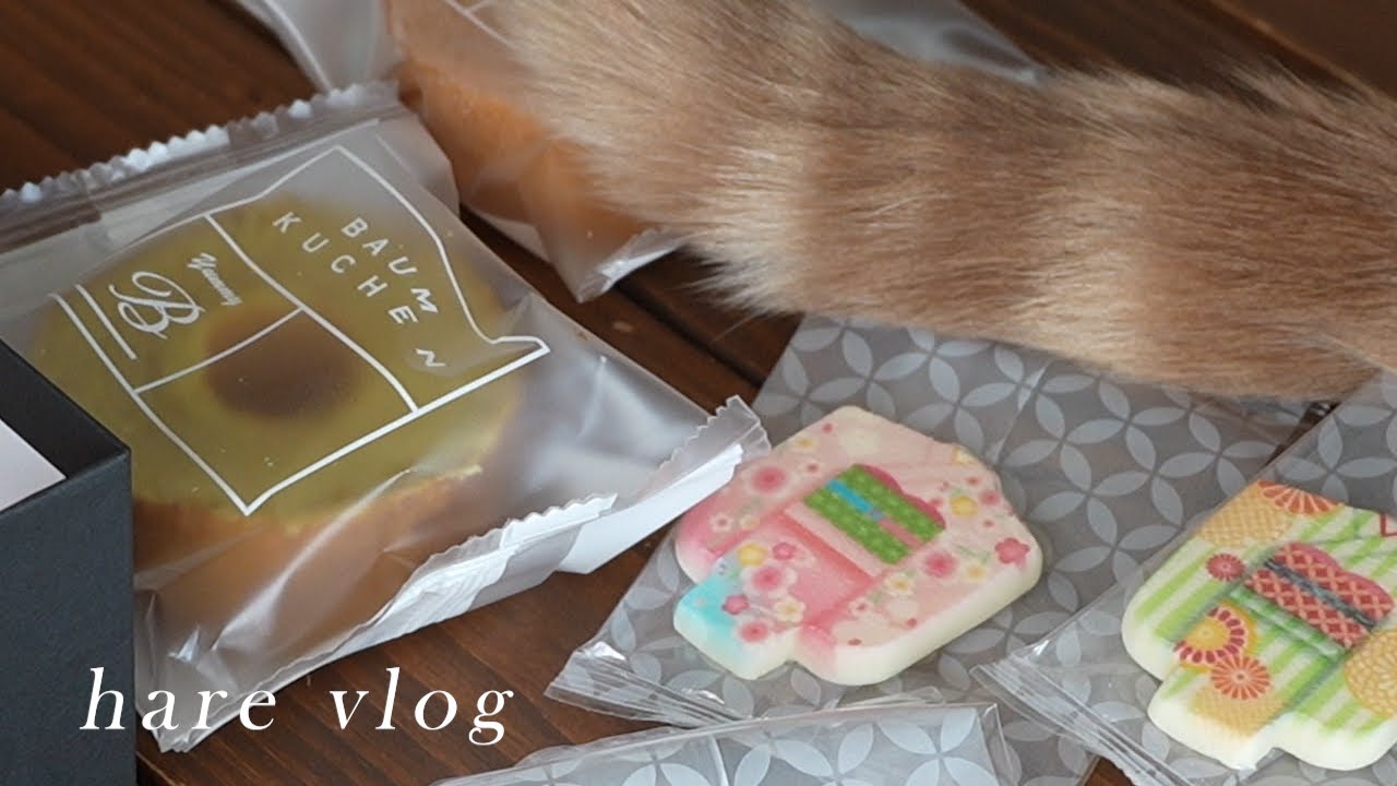 【vlog】ざわつく心を落ち着かせる方法｜クロスステッチ、チャイ、甘いお菓子🍪