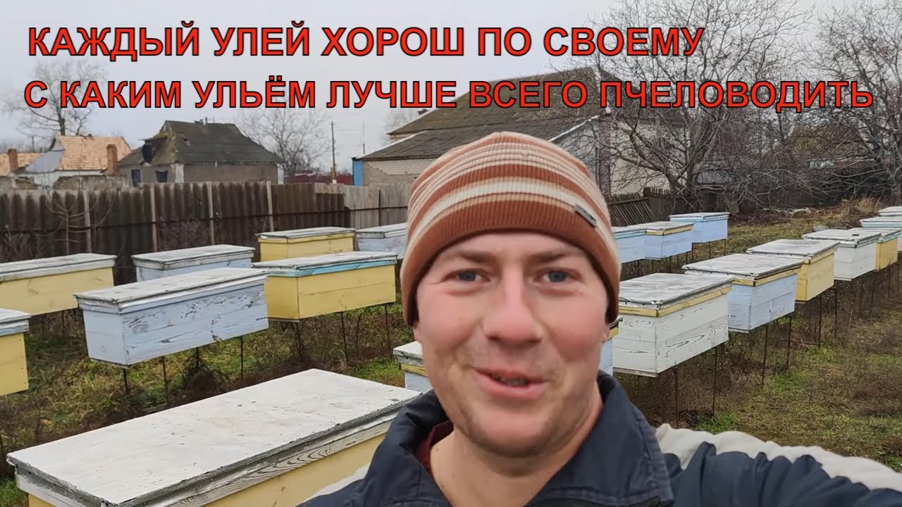 Какой улей лучше лежак или корпусной