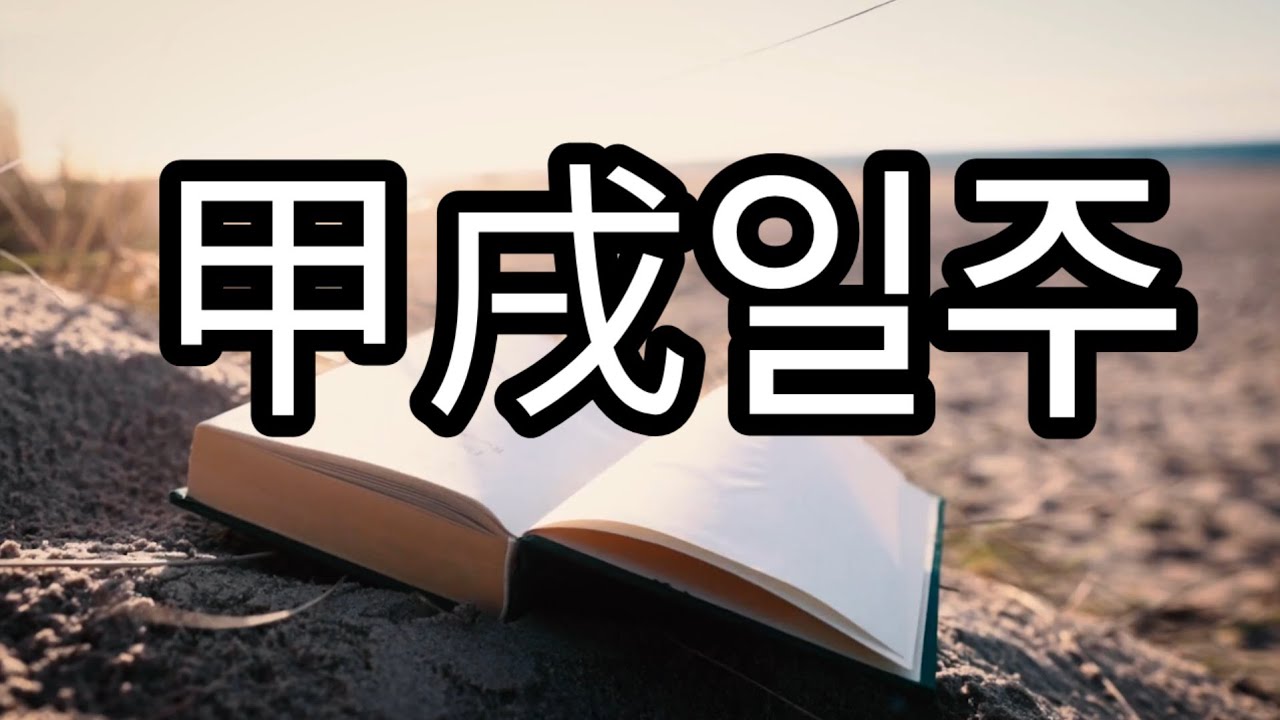 60갑자일주론) 갑술일주