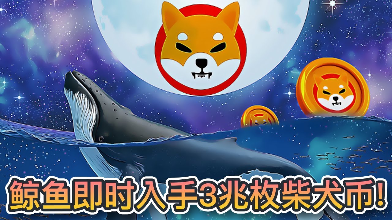 柴犬币开发者规划跨链未来大门！鲸鱼即时入手3兆枚柴犬币｜Cryptonews