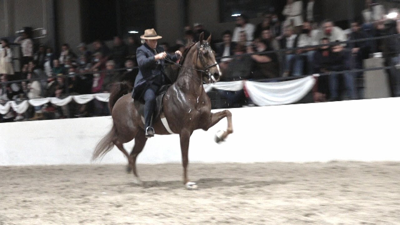 JP Hugo