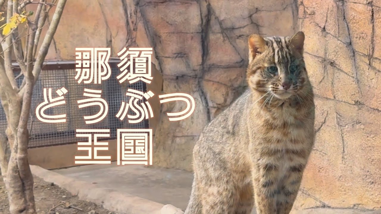 【満足度100%の休日】一度行けば虜になる‼︎広大な那須の大地で動物たちに癒される