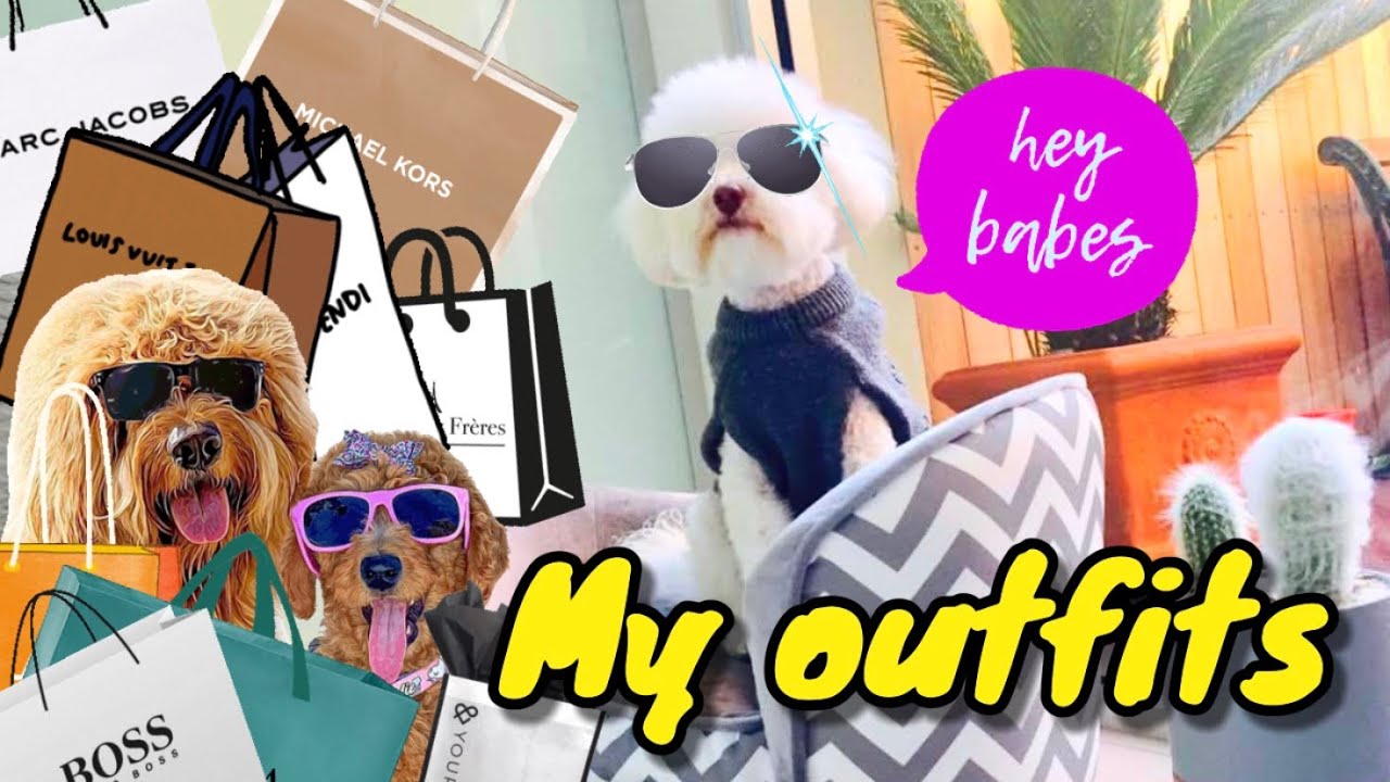DOG OUTFITS & CLOSET SETUP 🐶👓👕👖👟🧢🛍