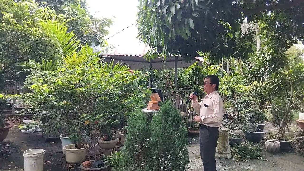 Hẹn Một Mùa Xuân, sáng tác: Đinh Việt Lang | Tuyệt phẩm bài hát về mùa Xuân của 2 Thanh Kẹo kéo