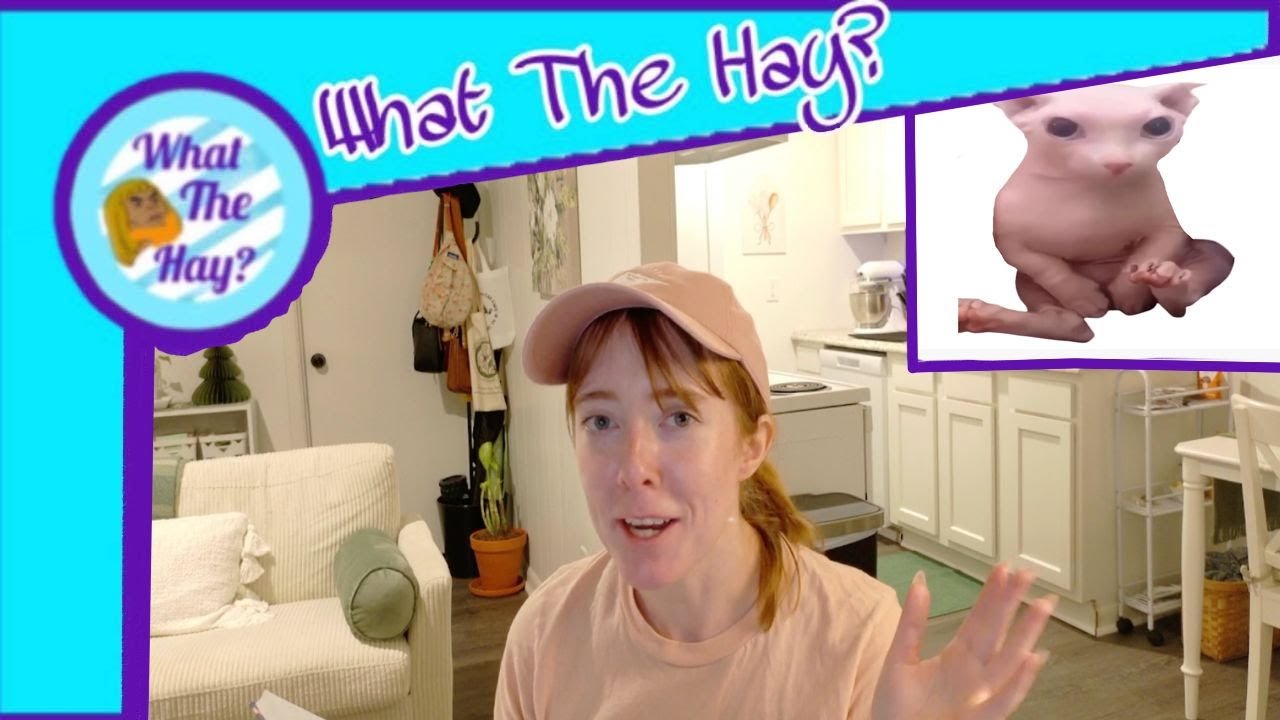 What the Hay: Is Bingus?