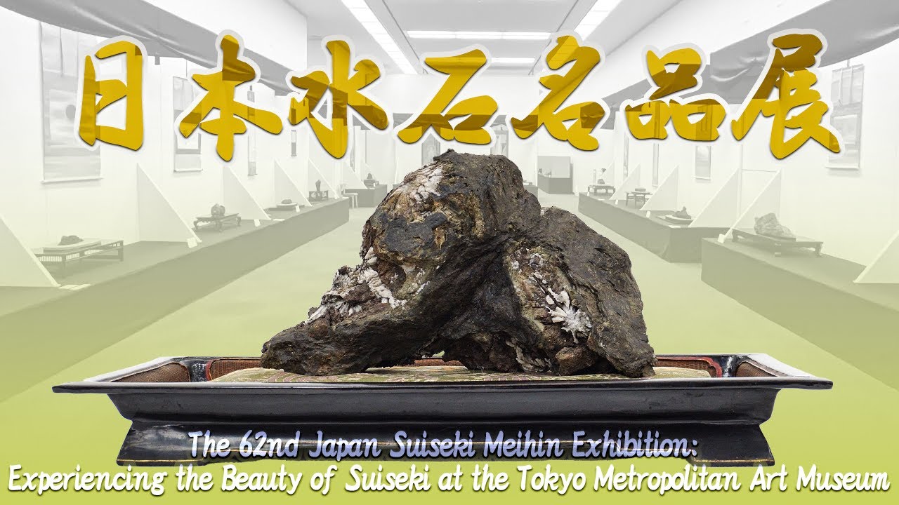 第62回日本水石名品展～東京都美術館で味わう水石の美～