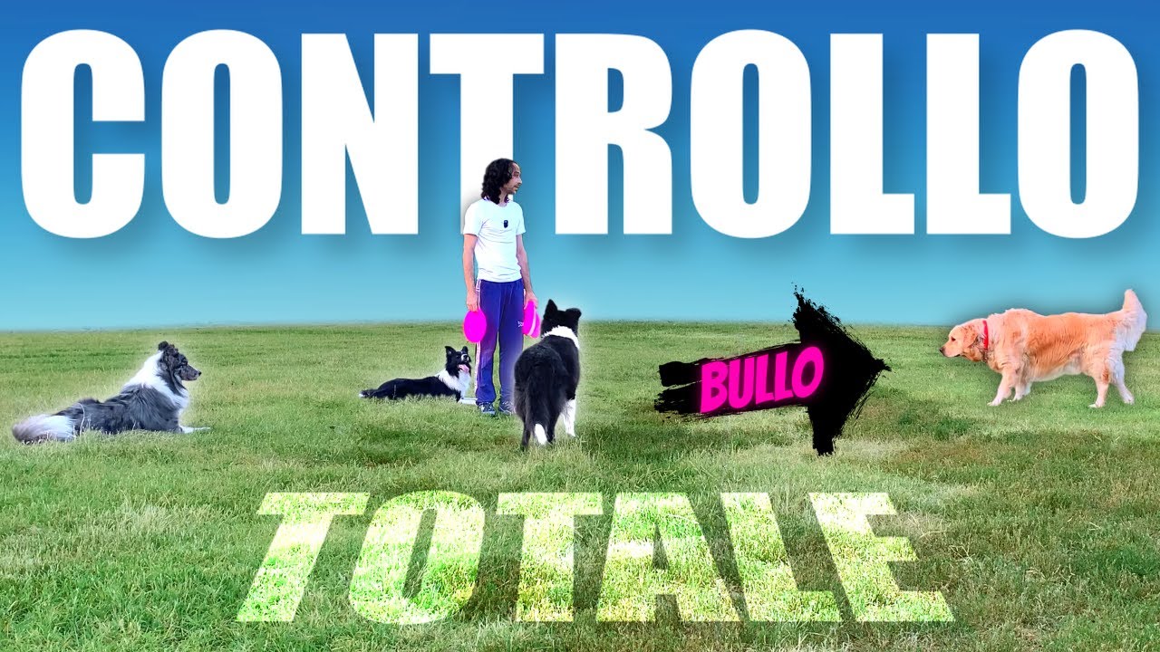 CONTROLLO in OGNI SITUAZIONE con una SANA RELAZIONE!
