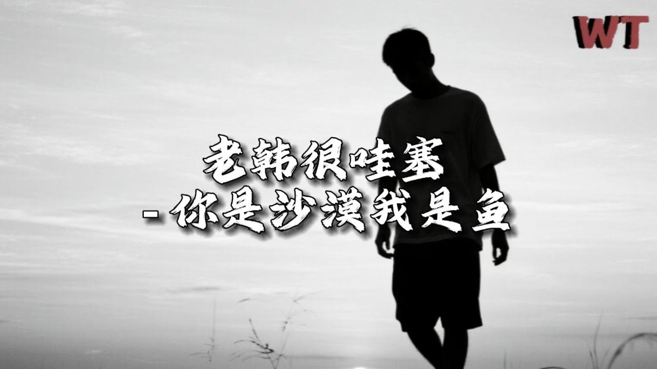 老韩很哇塞 - 你是沙漠我是鱼『可是我已把你刻在我心里，最后你却把我当成了回忆。』【动态歌词MV】