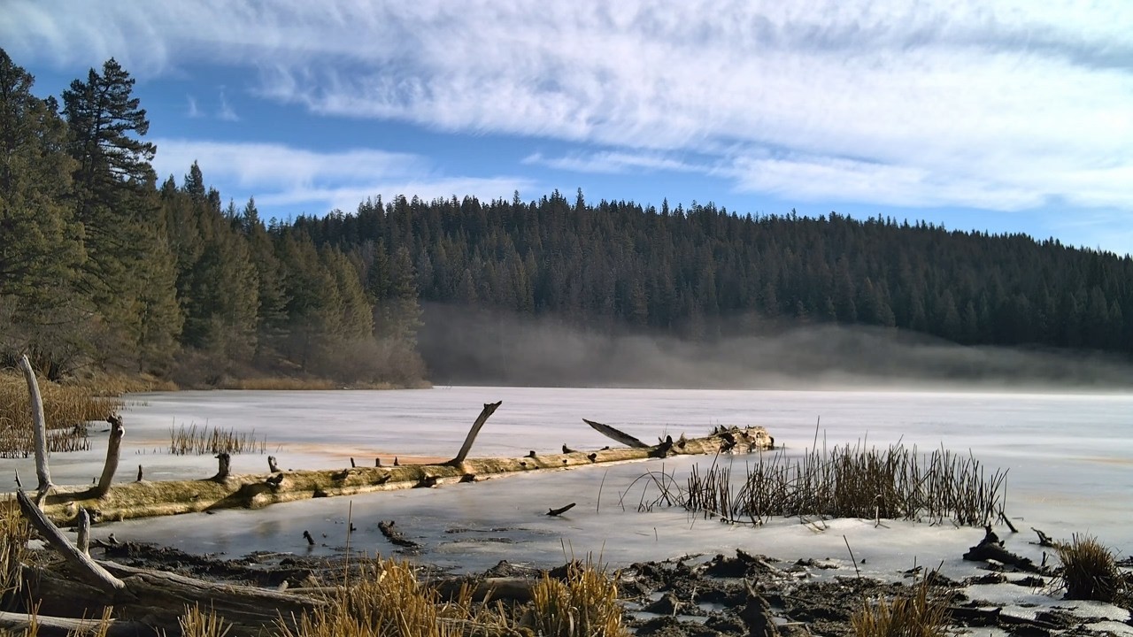 The Song of the Frozen Lake: Singing Ice & Dancing Mist