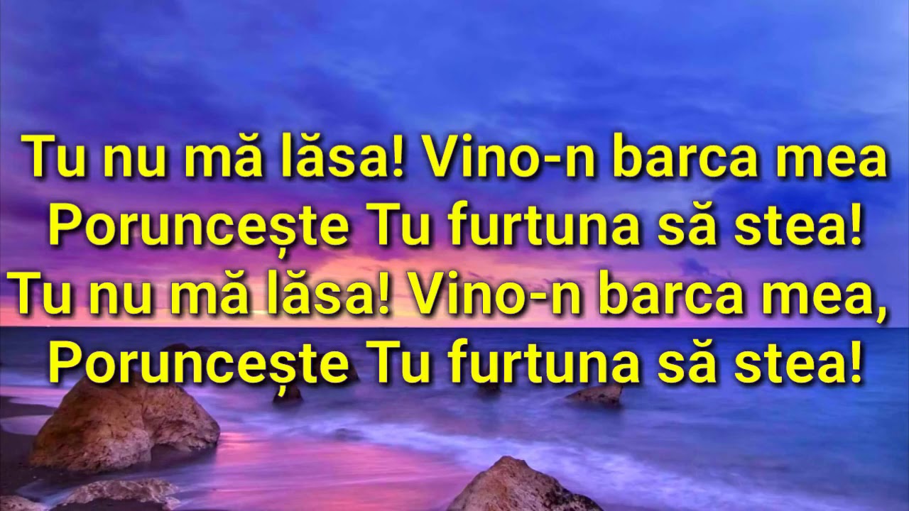 AZI IN BARCA VIETII - NEGATIV NEW 2020