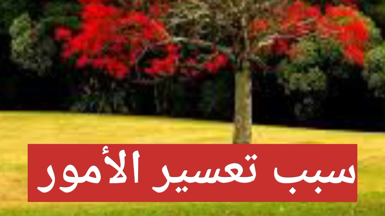سبب تعسير الأمور | د. عبد الرزاق البدر