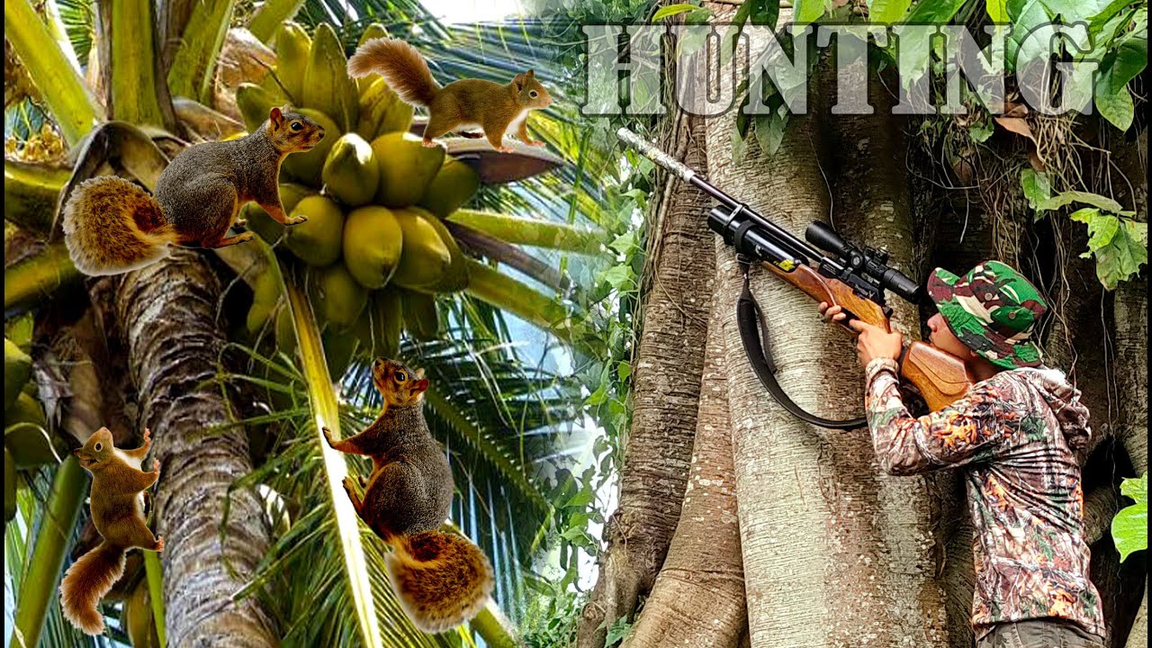 BERBURU TUPAI DI PAGI YANG CERAH